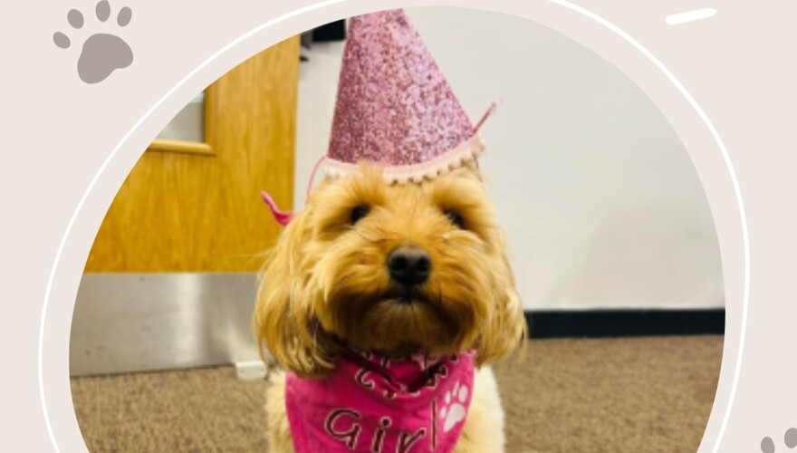 Happy Birthday Ruby!