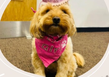 Happy Birthday Ruby!