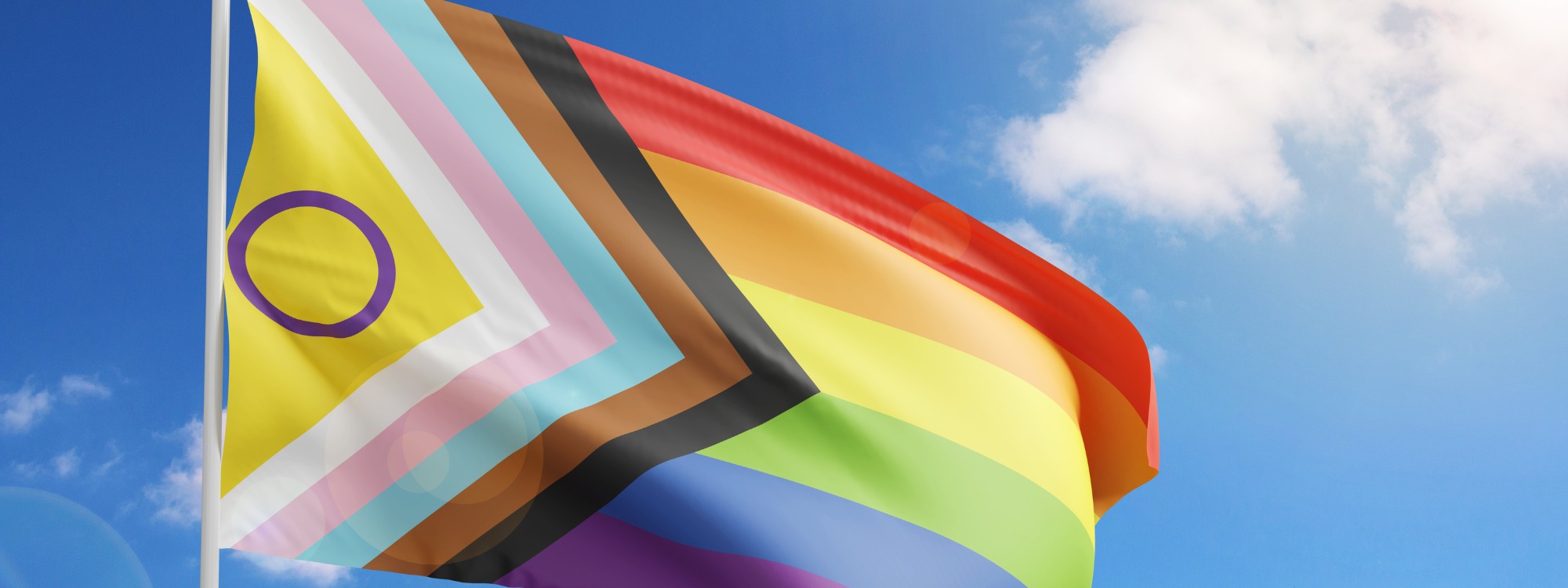 Header Image 1